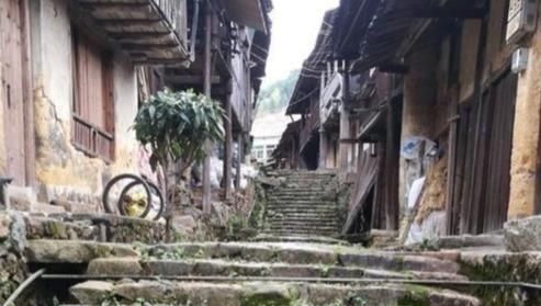 中国最“香”的古村，深山里的布达拉宫，桂树600岁高龄依旧飘香