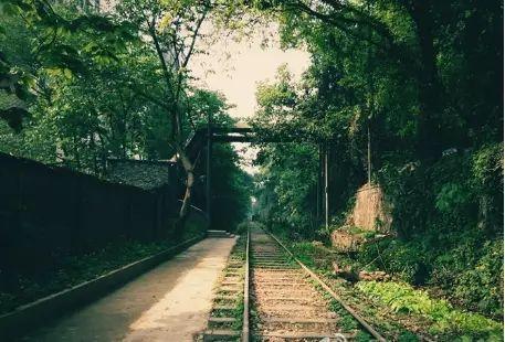 那些重庆必去的网红打卡圣地