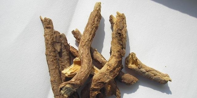 农村此野草，被称作“化雪莲”，根部有“黄金”，长在路边无人识