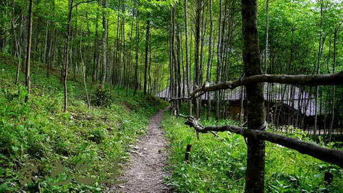 陕西有几个人间仙境，虽名不见经传，但去过的呆上了都不想走！