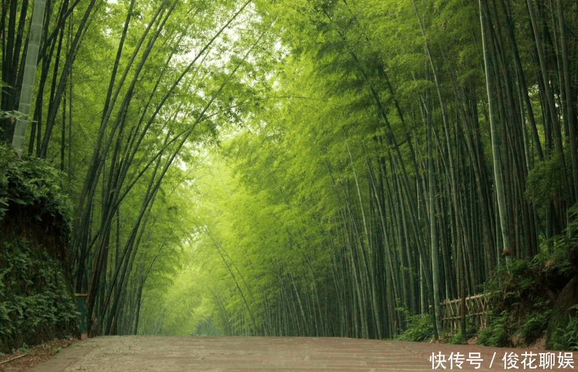 四川又一匹“黑马”城市, 或将赶超绵阳, 成为四川第二大城市