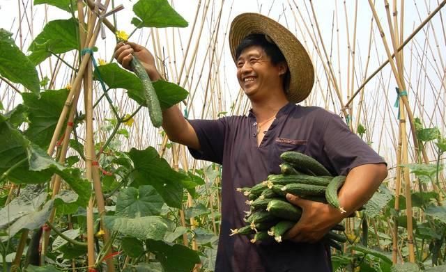  #盖楼#5年后的农村，盖楼买车都很寻常，这3样才难得，有农民至