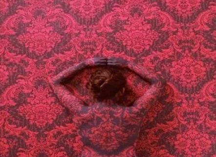 每张图中都“藏”有美女：智商高的人找出四张，找出五张要海军！