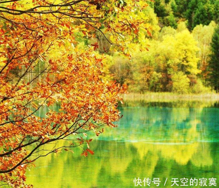 第一次去九寨沟要先看这篇!旅游攻略大全,教你去九寨沟轻松游