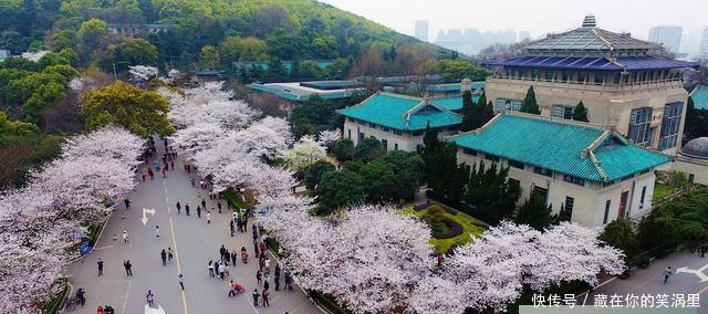  中部■武汉成为中部地区的领头羊，可能性有多大