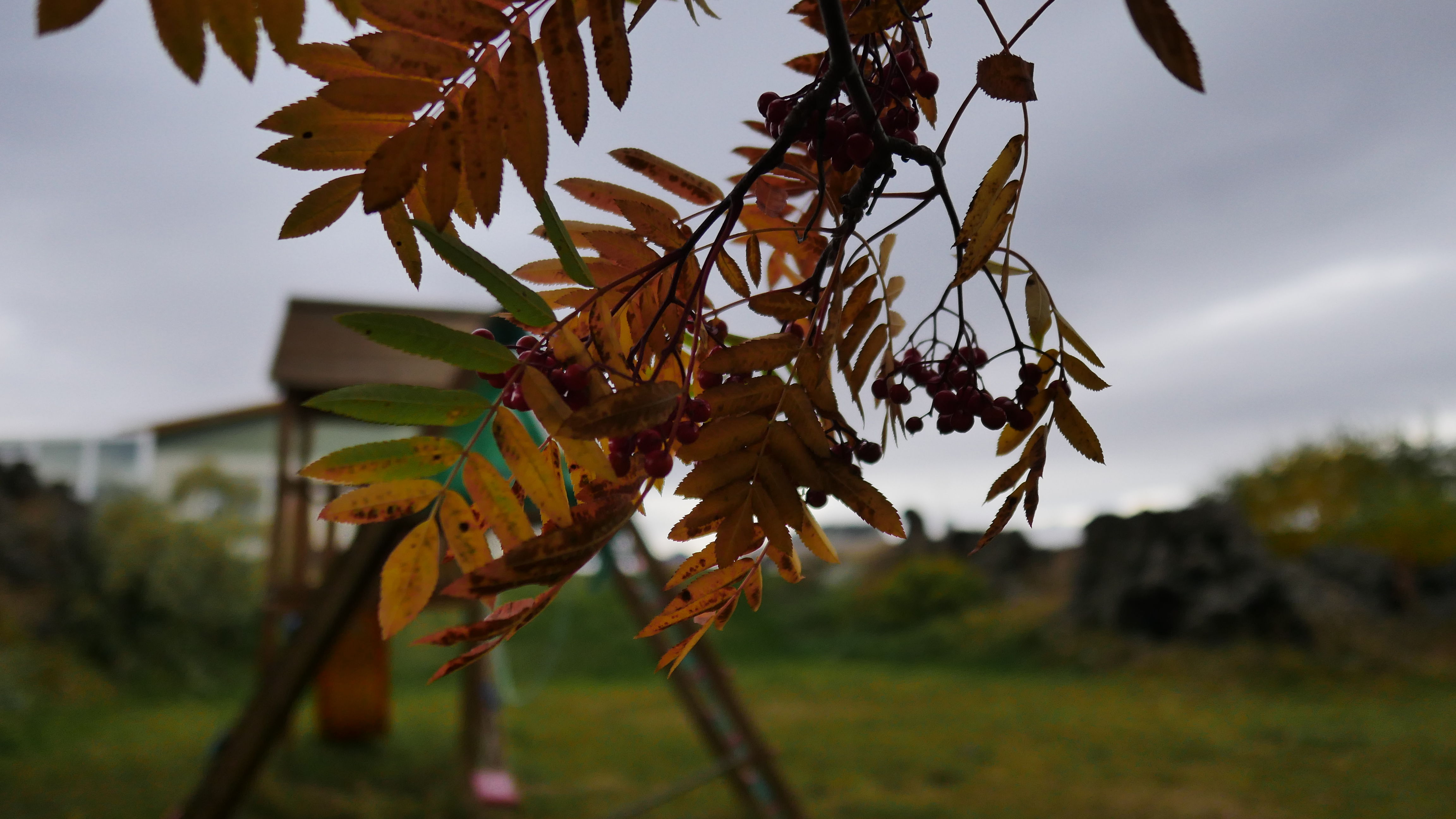 一起去世界的尽头流浪 冰岛历险记（中）