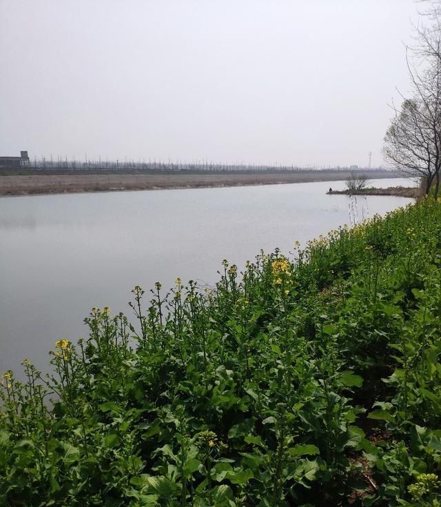  『天气』实践来验证春天好钓的天气是...
