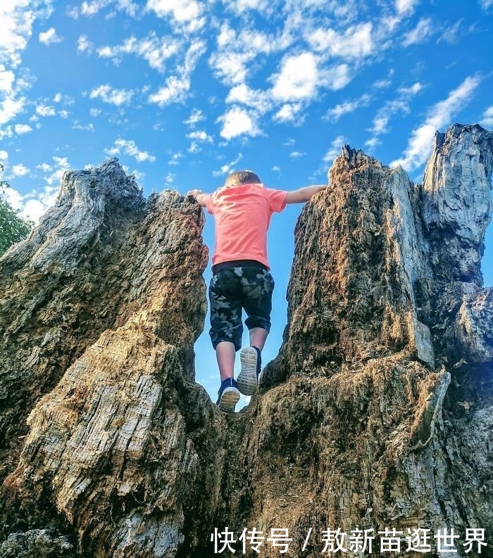40张没有PS过的真实照片!真让人难以相信