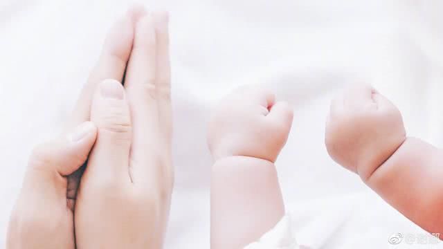 谢娜女儿被“诅咒”?网友冒名粉丝团炒作，谢娜官方粉丝团怒斥!