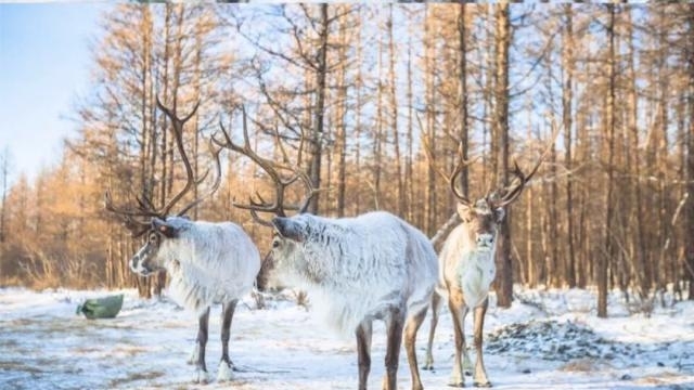 国内这些小众景点也太美了！关键是不用人挤人！景色不输热门景区