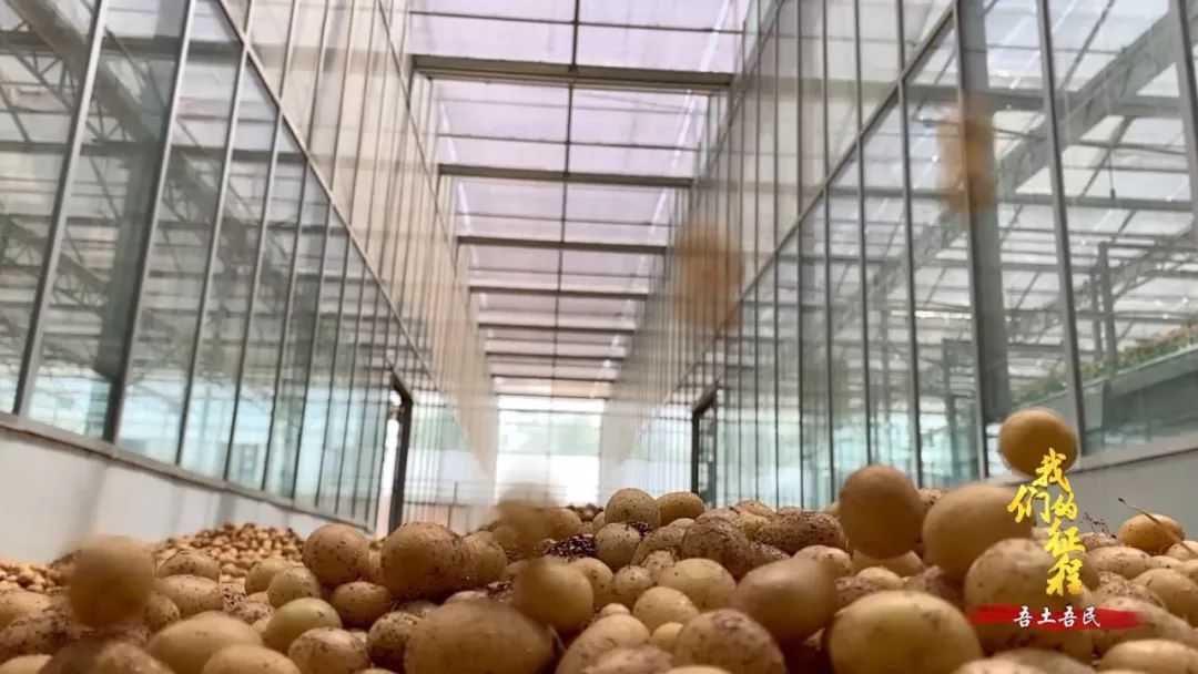  「创造奇迹」中国碗里装满中国粮！看，这片神奇的土地如何创造