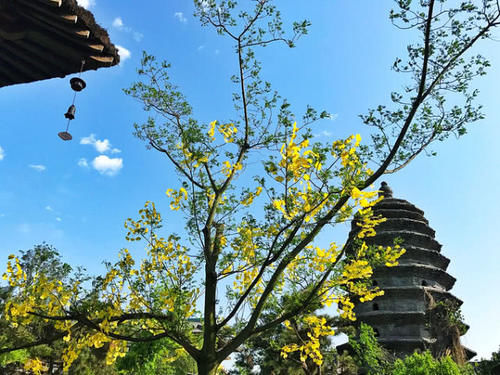  安徽■安徽最有潜力的城市，未来经济有望比肩合肥，不是芜湖也