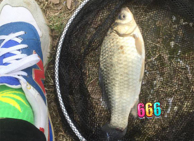  #感觉#钓鱼人的生日自然是要在钓场过的，感觉这生日礼物很棒啊！