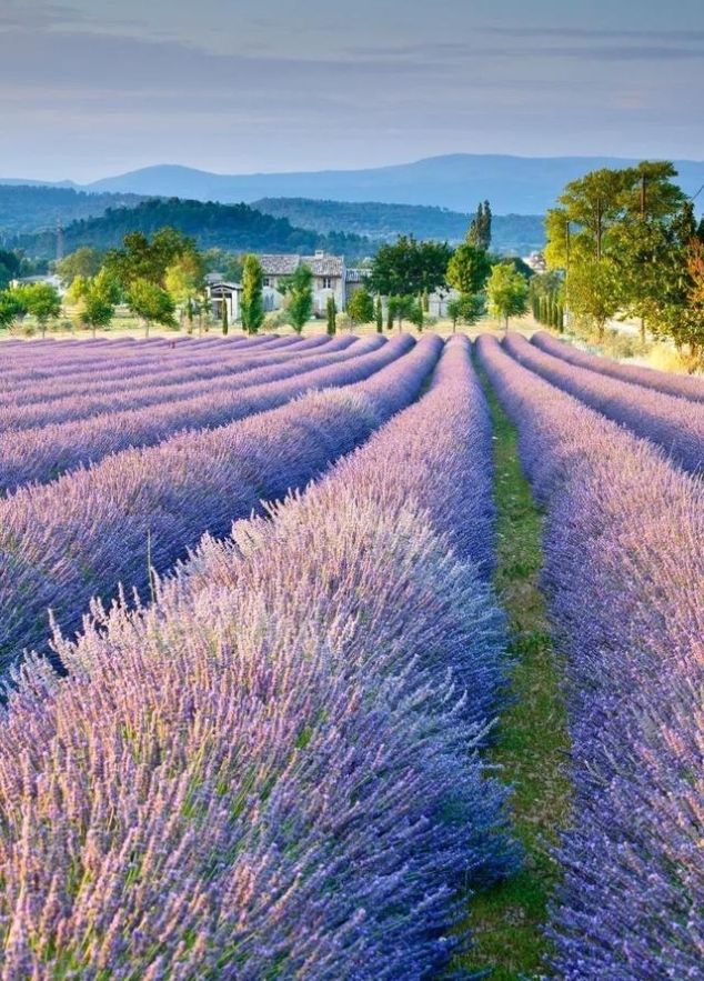 据说，99%的女人都抵挡不了这15个地方的诱惑