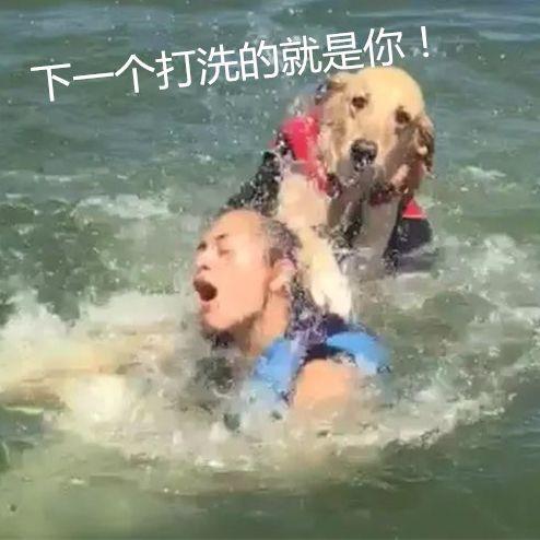 鳄鱼越狱了 合江亭被淹了…每到这时 谣言就开始出没了