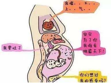 孕晚期孕妈怎样才知道胎儿要入盆了?是一种什