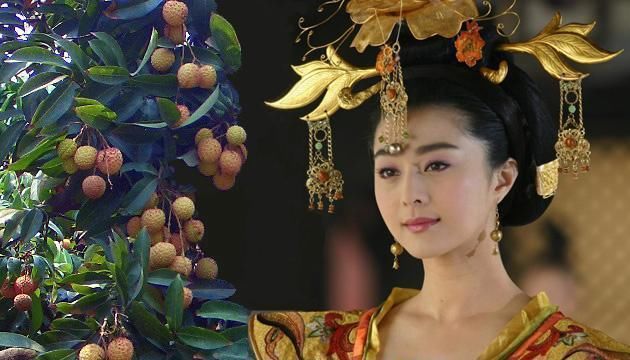 荔枝真会伤人，这已不是谣言！有医生能证明！