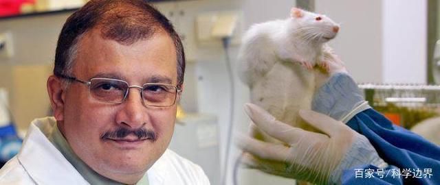 欧盟拿1个亿验证塞拉里尼的转基因致癌实验!结果出炉网友炸锅!