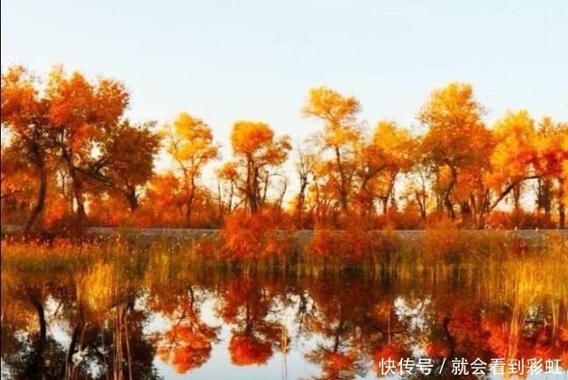  「造就」流域面积超100万km2的塔里木河，曾断流30年，如今造就