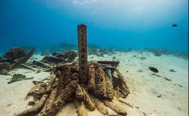 这个唯一免签的美国领土，刚刚缩短了免签停留期！不潜水还等啥呢