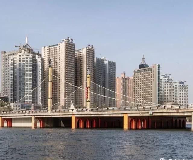 大美新疆，上眼胡杨