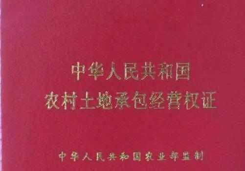 下半年，这3笔钱，农民可以不用交了，村委上门收取，可向上举报