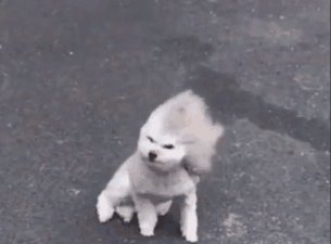  「内陆地区」预警！9级大风！雨雨雨！青岛本周天气…