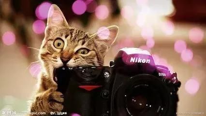 登高揽胜 云海情长