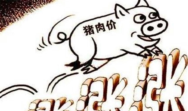 生猪由于非洲猪瘟的影响价格上涨，猪肉的价格还能降回去吗？