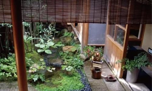 最小的庭院!超美超意境,有仙境的感觉