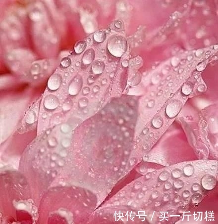  [颜值]粉色系，是不是你梦中的神仙颜值婚礼