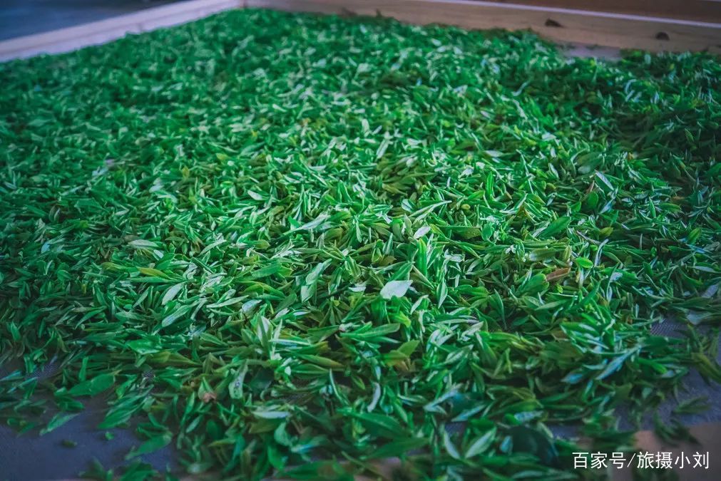  「游客」倒计时8天！清明小长假这13条小众宝藏线路，景色好，游客少！