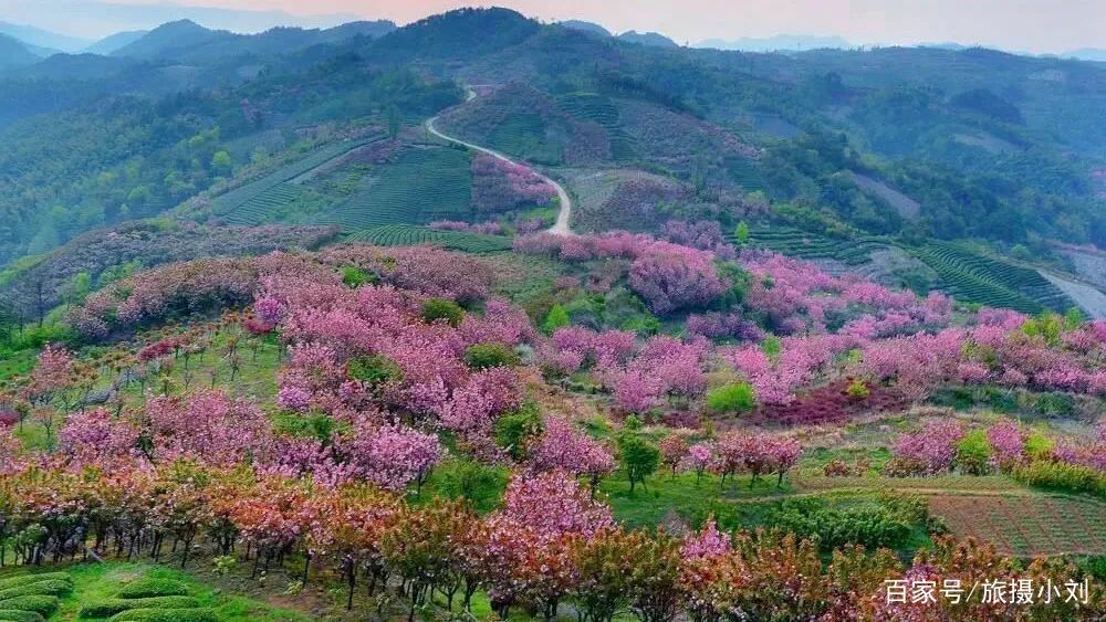  「游客」倒计时8天！清明小长假这13条小众宝藏线路，景色好，游客少！