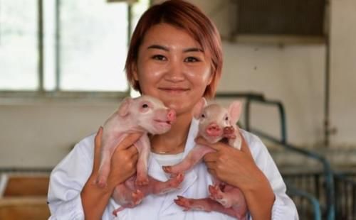  【变动】9月农村环保新变动，一个禁令被叫停，但农民4种行为仍