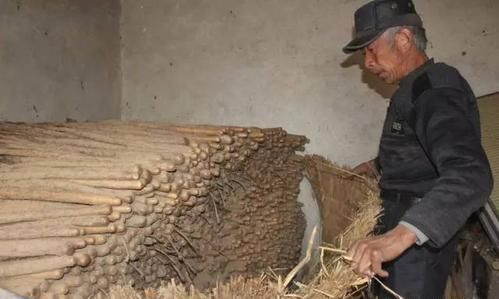  [遭遇]去年6元一斤不够卖, 大胆扩种30倍, 今年遭遇低价, 本钱都