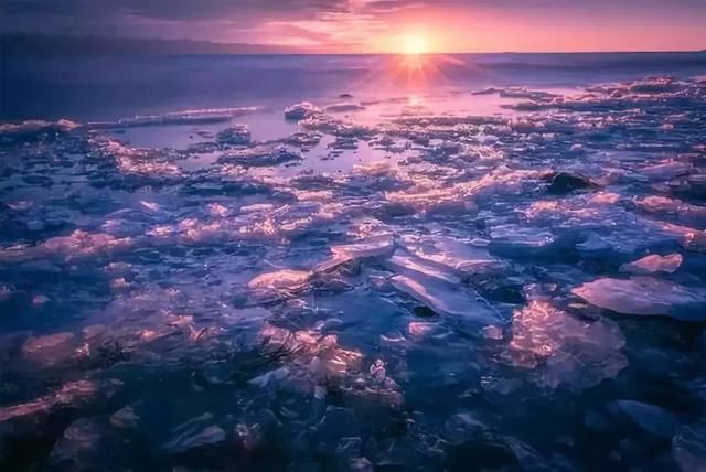 全国最大桃花基地!万亩花开成海,还不要门票!