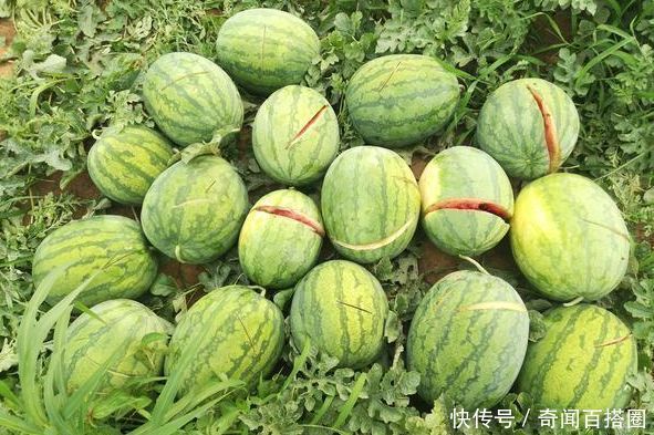t01edabd17456cbd068.jpg