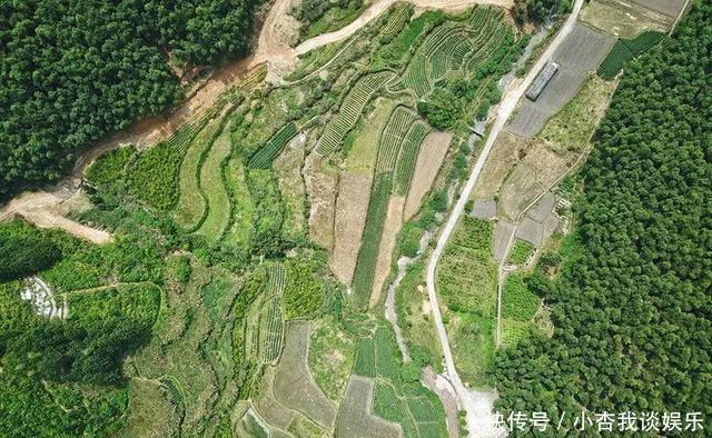  『名副其实』集桂林之秀、黄山之奇与华山之险，此仙境藏在浙江与福建的交界处