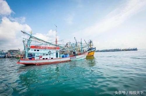 损失420亿，泰国商家没有丝毫反省，依旧硬气：国庆中国人肯定来