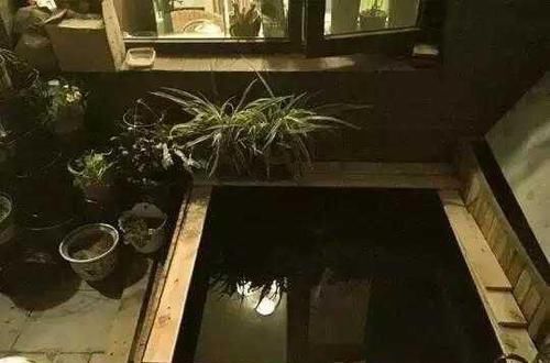  「老爸」从小喜欢养鱼，老爸花170块在阳台做了一个，太有才了！