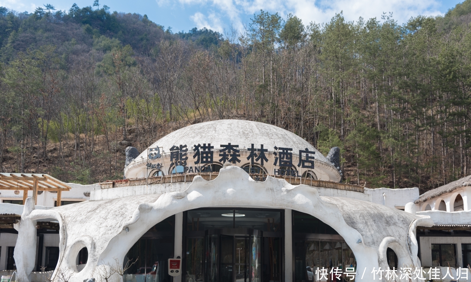 中国熊猫第一县在陕西？这座小城还有另外三种国宝级动物