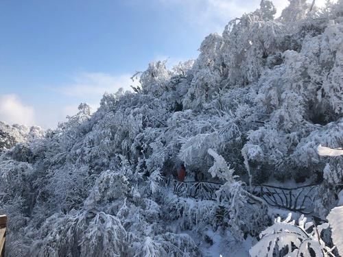 张家界自驾游、自助游全攻略，冬季来这里就对了