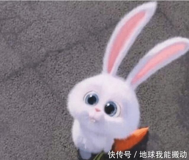 千年王八万年龟，下半句是什么这两句说的是什么意思