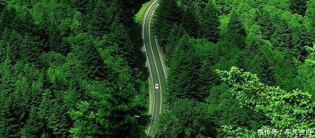 全球最大治沙工程每年阻止4亿吨沙土流入黄河，改变半个中国！