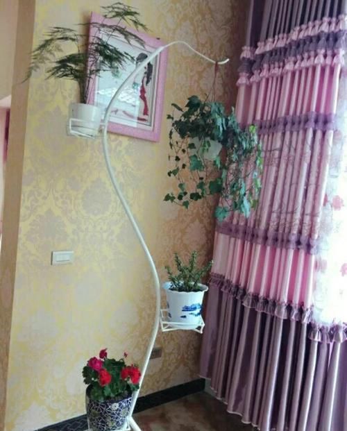  [生活]40岁之前，赚钱养家，40岁之后，种菜养花！