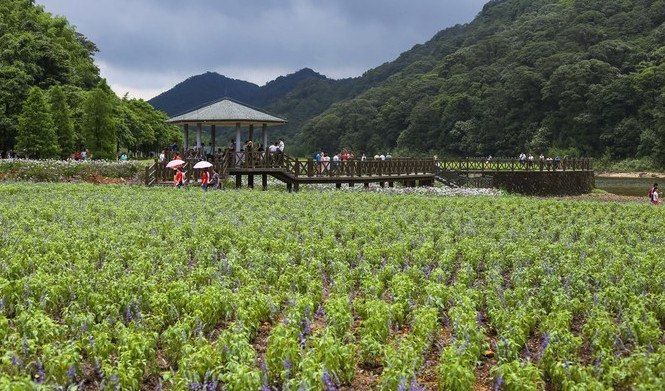 风景尽在云深处，驾RAV4荣放游石门国家森林公园