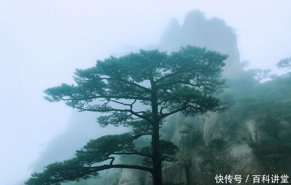 天下第一奇山——黄山