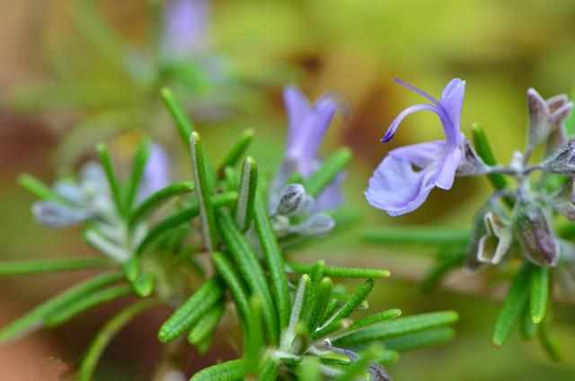 不管男女生，脸上出现3迹象，说明被螨虫缠上，3招把螨虫一窝端
