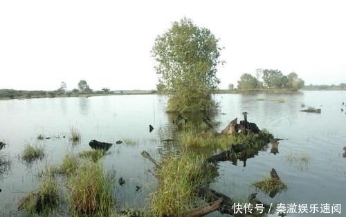 #拼命#以美丽凶悍著称的孔雀鲈,遇见鱼饵拼命追,想钓点别的鱼都困难