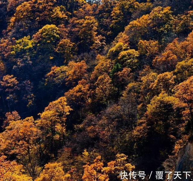 安徽旅游:大山深处一抹红,马丁公路、马鬃岭秋色美翻了